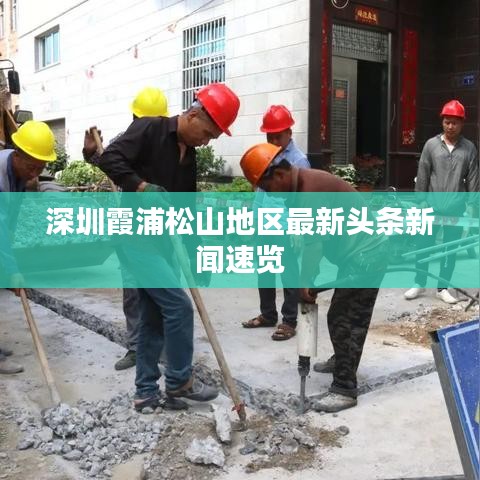 深圳霞浦松山地区最新头条新闻速览