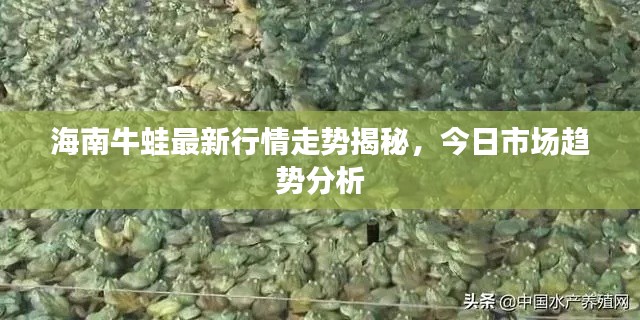 2025年5月8日 第4页