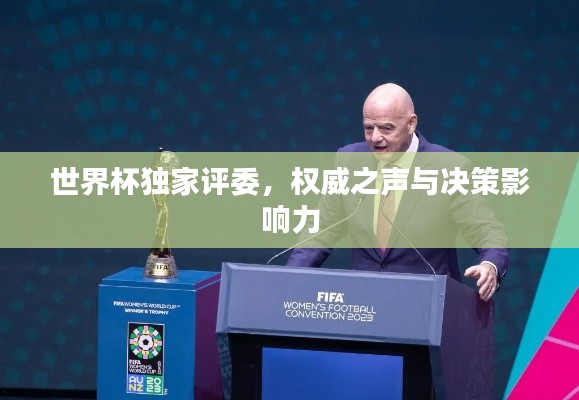 世界杯独家评委，权威之声与决策影响力