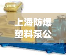 上海防爆塑料泵公司行业排名及影响力解析