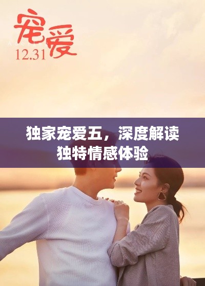 独家宠爱五，深度解读独特情感体验