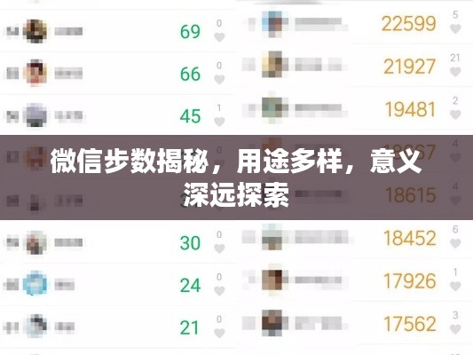 微信步数揭秘，用途多样，意义深远探索