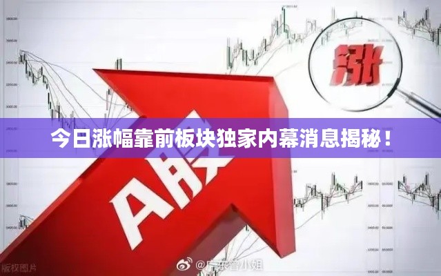 今日涨幅靠前板块独家内幕消息揭秘！