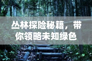 丛林探险秘籍，带你领略未知绿色世界的神秘面纱