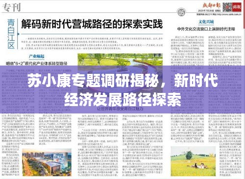 苏小康专题调研揭秘，新时代经济发展路径探索