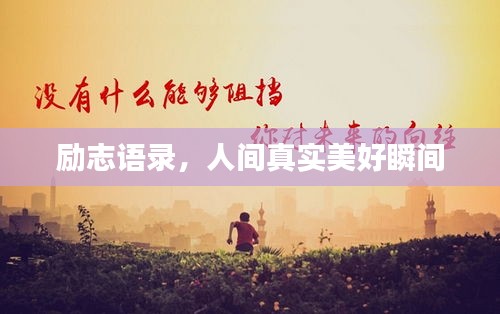 关于我们 第14页