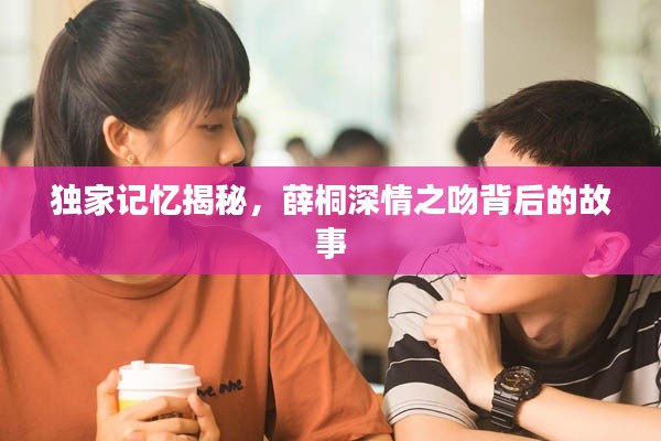 关于我们 第13页