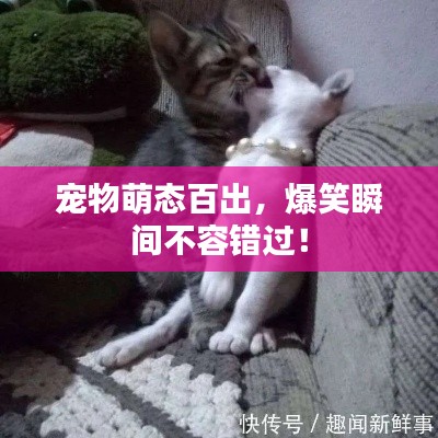 产品中心 第12页