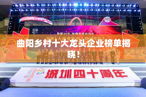 曲阳乡村十大龙头企业榜单揭晓！