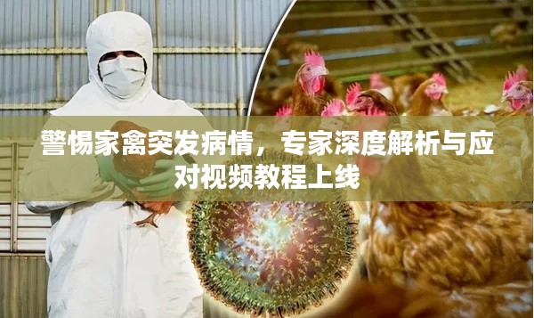 联系我们 第8页