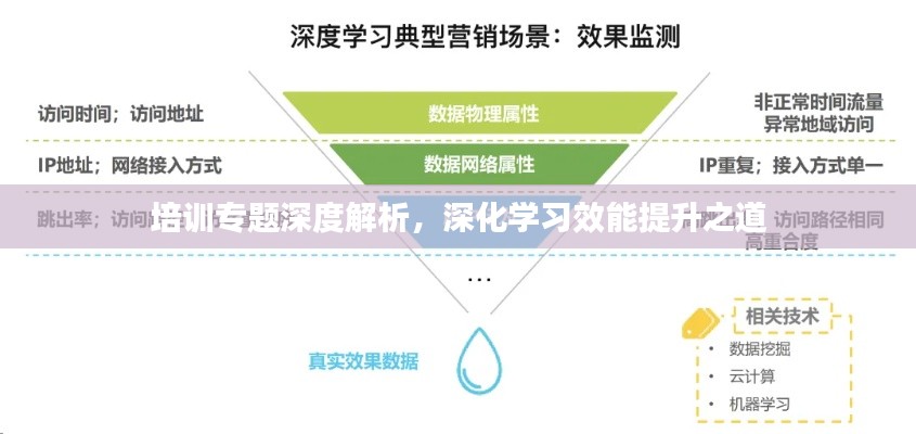 培训专题深度解析，深化学习效能提升之道