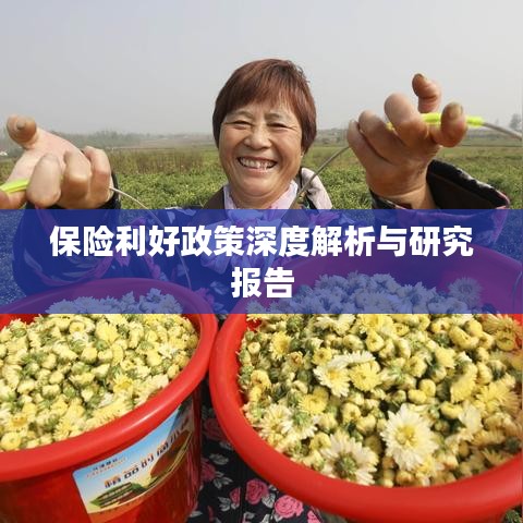 保险利好政策深度解析与研究报告