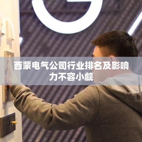 西蒙电气公司行业排名及影响力不容小觑