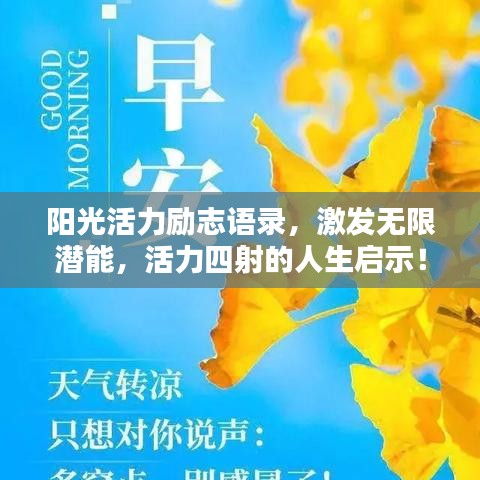 交货现场 第5页