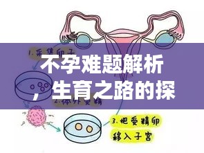 不孕难题解析，生育之路的探索与解决方案