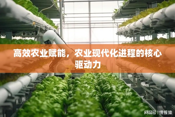 高效农业赋能，农业现代化进程的核心驱动力