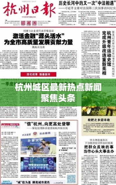 杭州城区最新热点新闻聚焦头条
