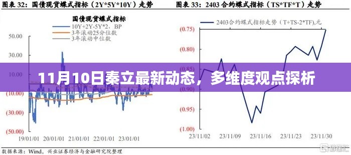 11月10日秦立最新动态，多维度观点探析