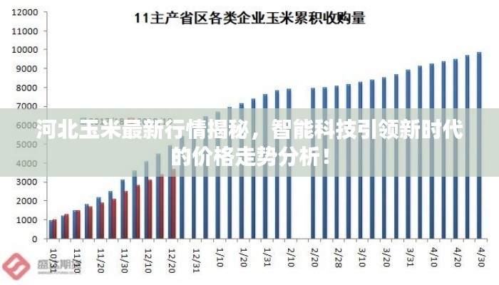 河北玉米最新行情揭秘，智能科技引领新时代的价格走势分析！