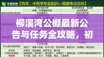 柳溪湾公棚最新公告与任务全攻略，初学者与进阶用户指南（2024年11月10日）