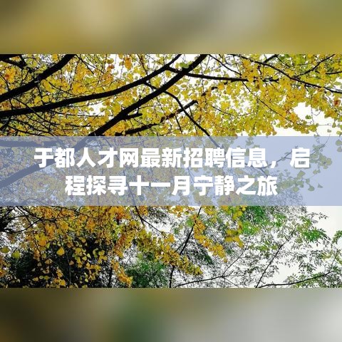 于都人才网最新招聘信息，启程探寻十一月宁静之旅