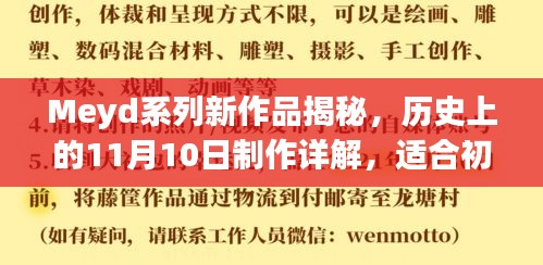 Meyd系列新作品揭秘，历史上的11月10日制作详解，适合初学者与进阶用户的学习指南