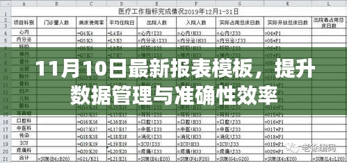 11月10日最新报表模板，提升数据管理与准确性效率