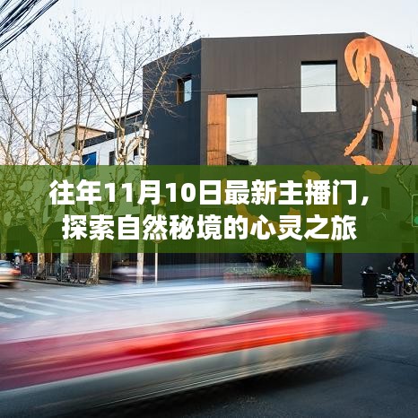 往年11月10日最新主播门，探索自然秘境的心灵之旅