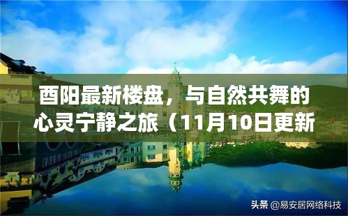 酉阳最新楼盘，与自然共舞的心灵宁静之旅（11月10日更新）