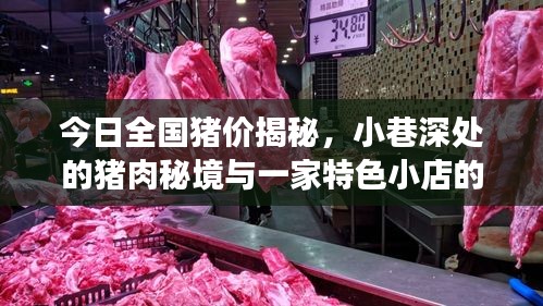 今日全国猪价揭秘，小巷深处的猪肉秘境与一家特色小店的独特故事（历史回顾）