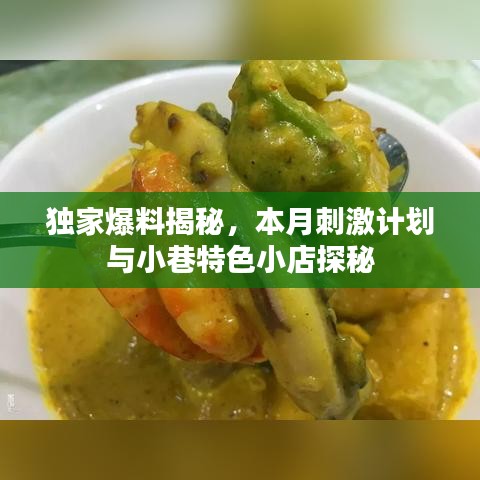 独家爆料揭秘，本月刺激计划与小巷特色小店探秘