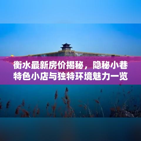 衡水最新房价揭秘，隐秘小巷特色小店与独特环境魅力一览