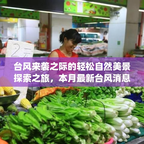 台风来袭之际的轻松自然美景探索之旅，本月最新台风消息回顾