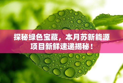 探秘绿色宝藏，本月苏新能源项目新鲜速递揭秘！