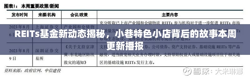 REITs基金新动态揭秘，小巷特色小店背后的故事本周更新播报