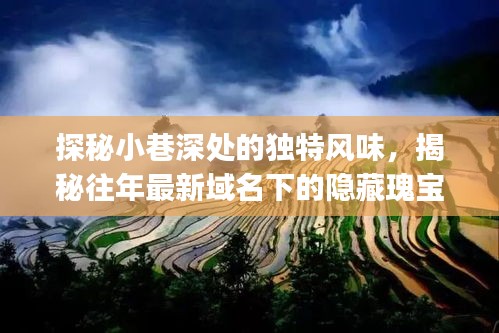 探秘小巷深处的独特风味，揭秘往年最新域名下的隐藏瑰宝——88yynn最新域名