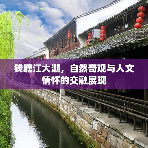 钱塘江大潮，自然奇观与人文情怀的交融展现