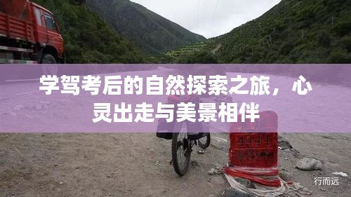 学驾考后的自然探索之旅，心灵出走与美景相伴