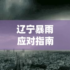 辽宁暴雨应对指南，最新通知下的行动步骤及暴雨通知最新消息（11月13日）