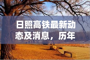 日照高铁最新动态及消息，历年11月13日回顾