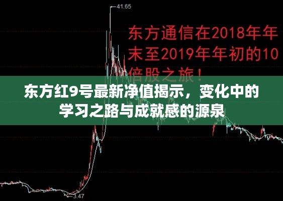 东方红9号最新净值揭示，变化中的学习之路与成就感的源泉