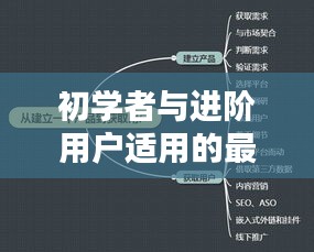 初学者与进阶用户适用的最新钓鱼技巧，详细步骤指南（11月钓鱼视频版）