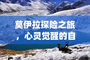 莫伊拉探险之旅，心灵觉醒的自然美景记（2024年最新）