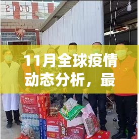 11月全球疫情动态分析，最新疫情情况概览与趋势分析