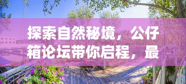 探索自然秘境，公仔箱论坛带你启程，最新入口开启心灵之旅