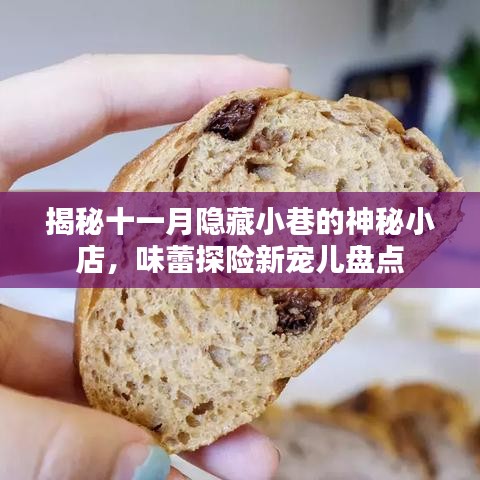 揭秘十一月隐藏小巷的神秘小店，味蕾探险新宠儿盘点