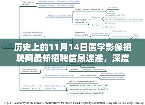 历史上的11月14日医学影像招聘网最新招聘信息速递，深度评测与介绍指南