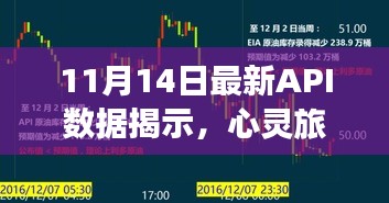 11月14日最新API数据揭示，心灵旅行的召唤，与自然美景共舞，寻找内心宁静港湾