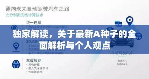 独家解读，关于最新A种子的全面解析与个人观点