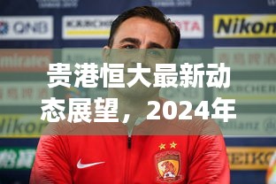 贵港恒大最新动态展望，2024年11月14日的深度分析与思考